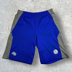 Vtg Nike Sphere Dry Basketball Shorts Men's Size L Blue Gray Colorblock BG Logo
